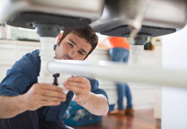 Best Plumbing Inspection Services  in Punta Rassa, FL